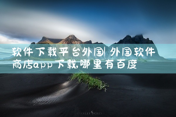 软件下载平台外国